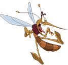 Raid-Mosquito