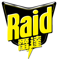 logo-raid